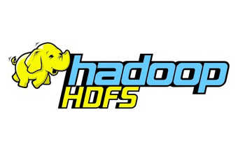 HDFS : Distributed file system dedicated to the BigData Subsystem.